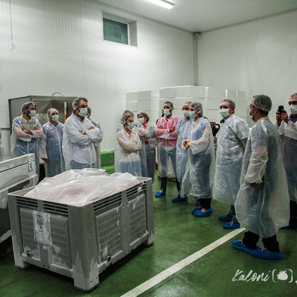 Esdeveniment Balfegó